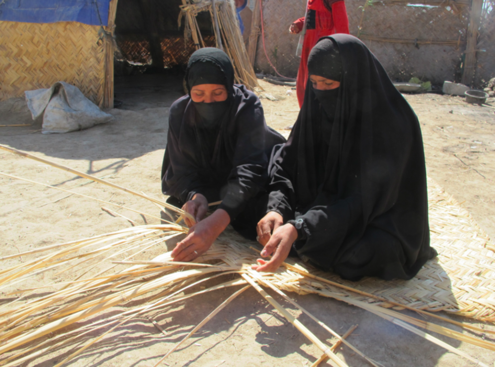 Vegetable Plaiting Materials from the Site of Abu Tbeirah (Southern